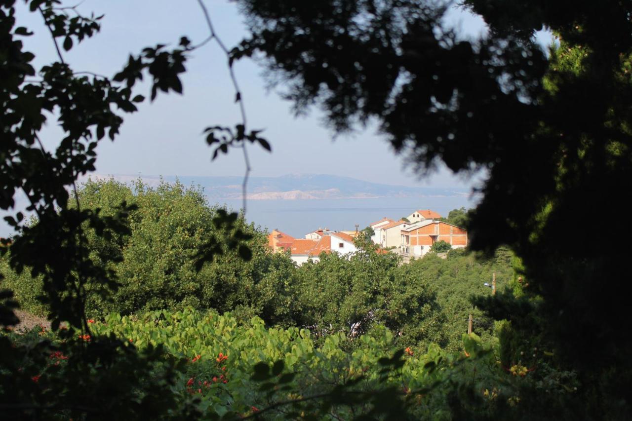 Apartments And Rooms With Parking Space Klenovica, Novi Vinodolski - 5590 Εξωτερικό φωτογραφία